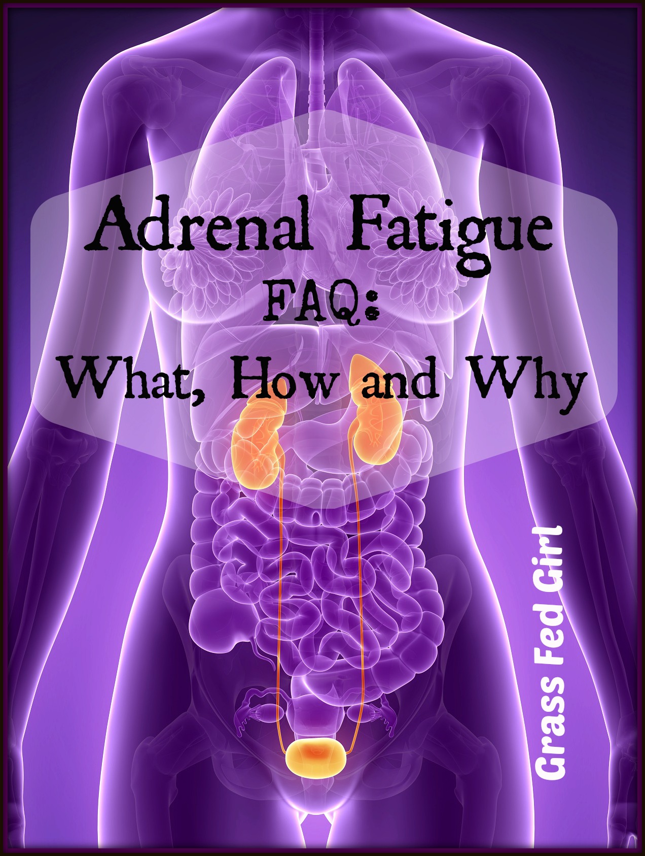 Adrenal Fatigue Faq What How And Why Grass Fed Girl