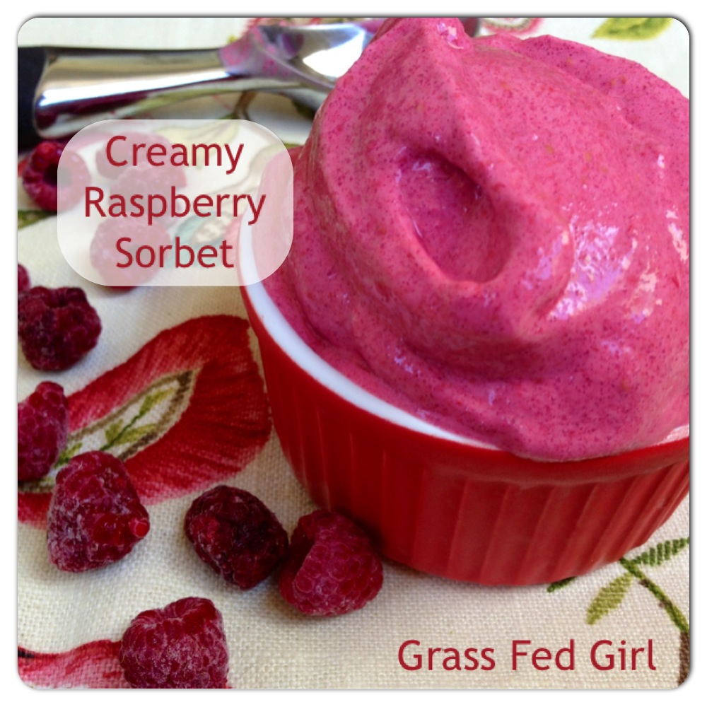 Keto Raspberry Sorbet Recipe (Paleo, Low Carb, Dairy Free, Sugar Free)